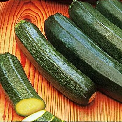 Cucurbita pepo 'Jaguar'