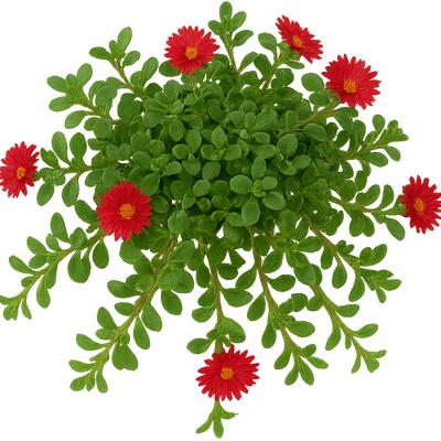 bloomingville plant pot Bloomingville main image 1