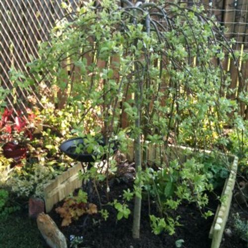 Previous Next 1 of 8