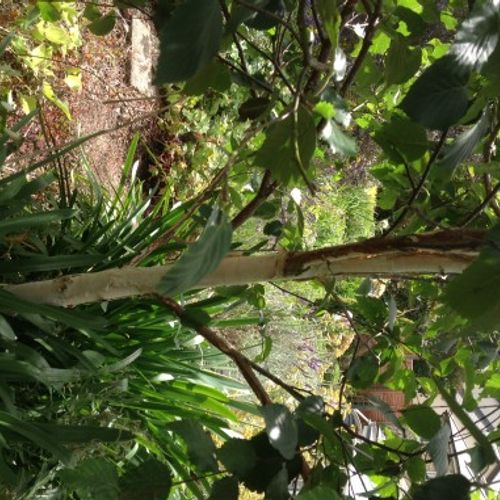 Previous Next 1 of 4