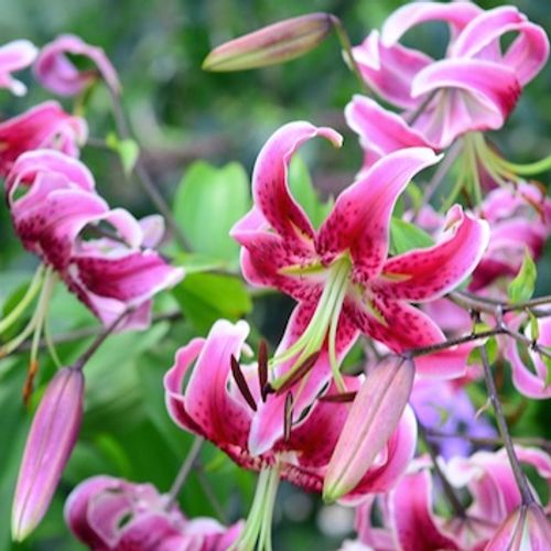 Previous Next 1 of 5