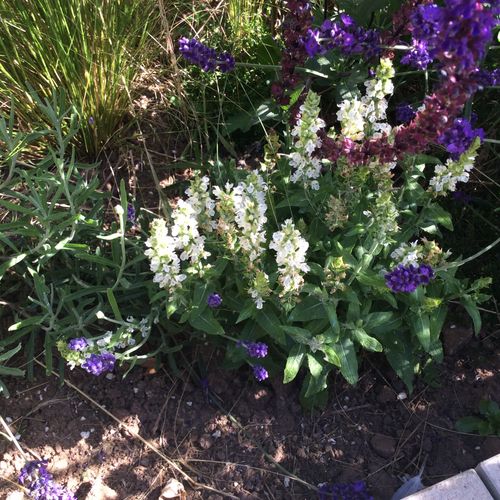 Previous Next 1 of 4