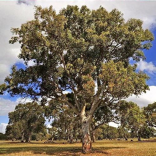 Previous Next 1 of 2