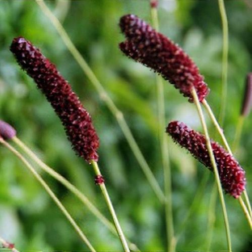 Previous Next 1 of 4