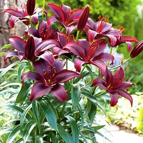 Previous Next 1 of 2