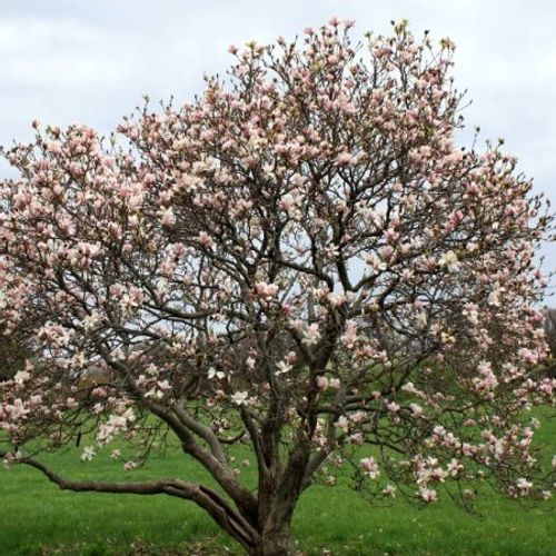 Previous Next 1 of 2