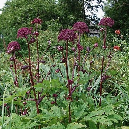 Previous Next 1 of 14