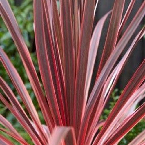 Previous Next 1 of 3