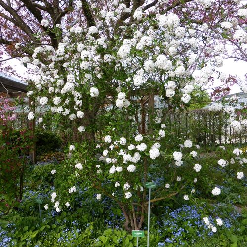 Previous Next 1 of 2