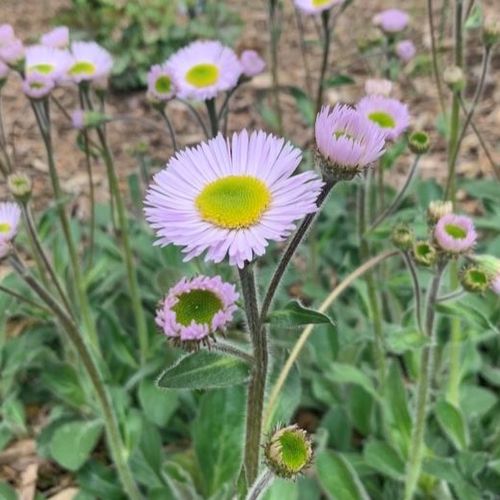 Previous Next 1 of 3