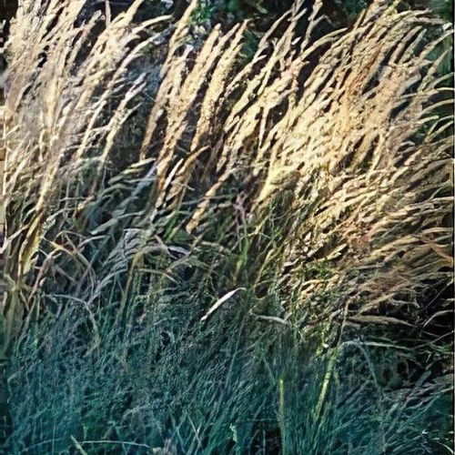 Previous Next 1 of 5