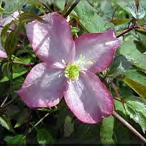 Previous Next 1 of 4