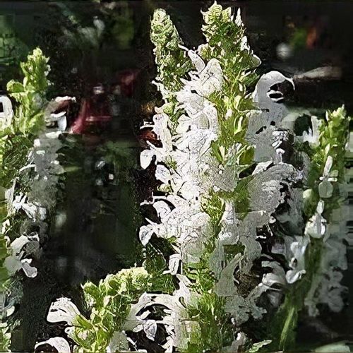 Previous Next 1 of 4