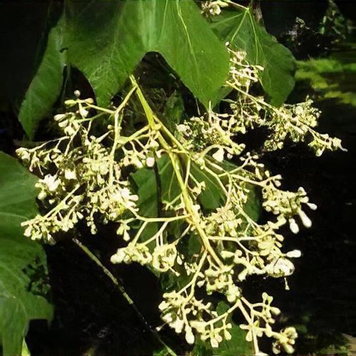 Previous Next 1 of 4