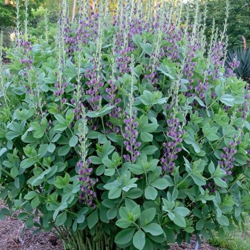 Previous Next 1 of 3