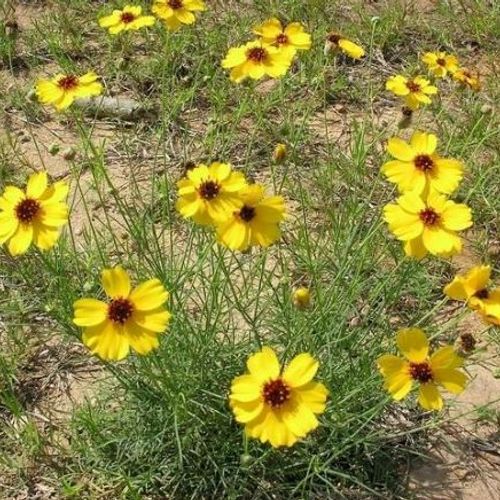 Previous Next 1 of 3