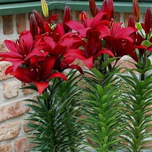 Previous Next 1 of 2