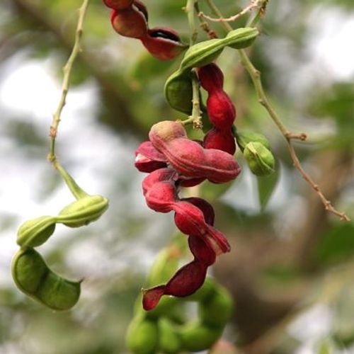 Previous Next 1 of 3