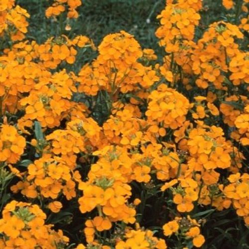 Previous Next 1 of 2