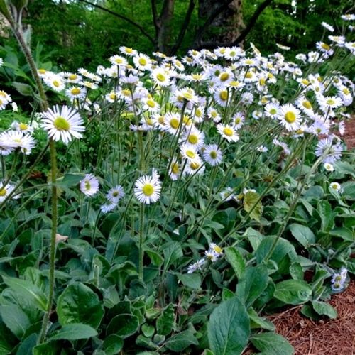 Previous Next 1 of 3