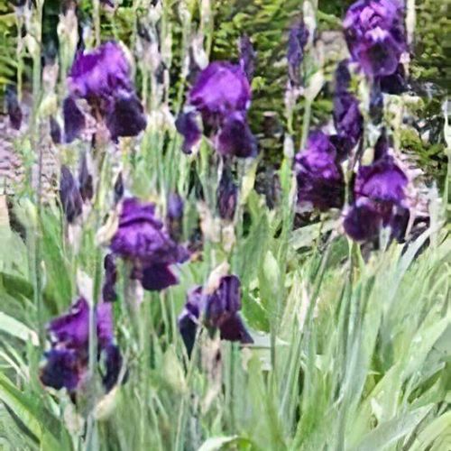 Previous Next 1 of 3