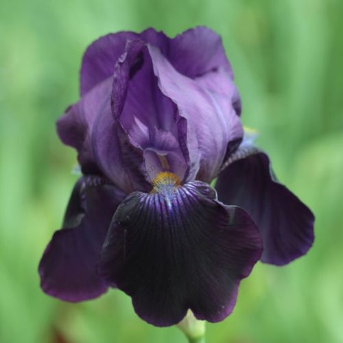 Previous Next 1 of 3