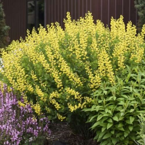 Previous Next 1 of 3