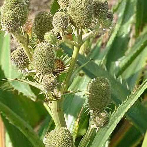 Previous Next 1 of 6