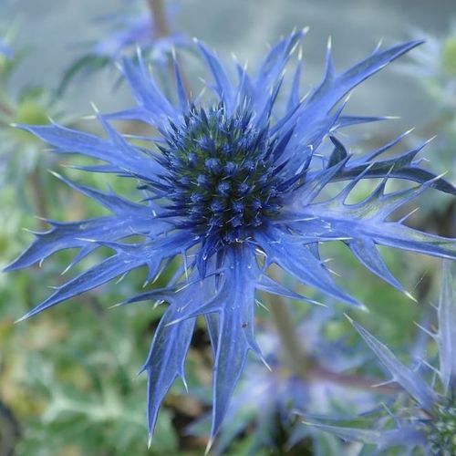 Previous Next 1 of 2