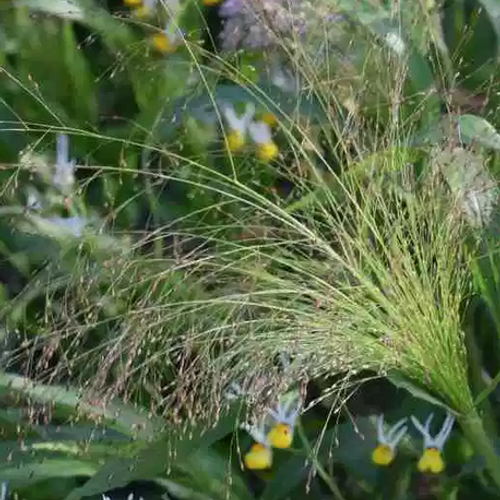 Previous Next 1 of 3