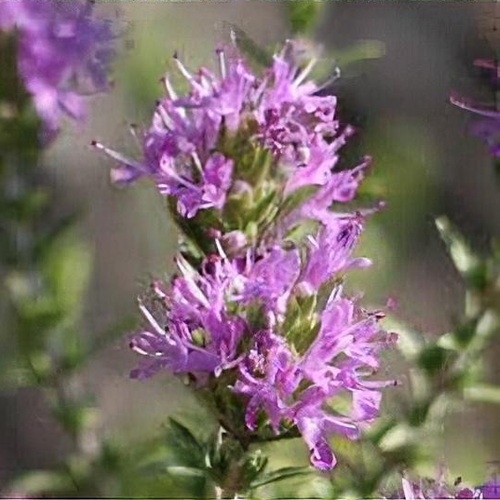 Previous Next 1 of 3